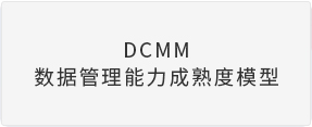 DCMM数据管理能力成熟度模型